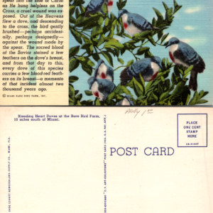 Vintage Bleeding Heart Dove Postcard Rare Bird Farm Miami Florida - Image 1