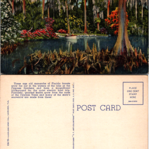 Vintage Florida Cypress Gardens Postcard Multicolor Scenic Lake View - Image 1