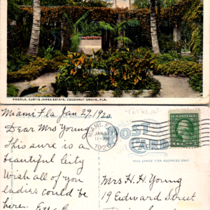 Vintage Pagola Curtis James Estate Postcard Cocoanut Grove Multicolor - Image 1