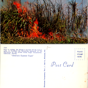 Vintage Postcard Clewiston Florida Sugar Cane Burning United States Sugar Corporation - Image 1
