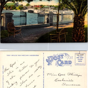 Vintage Tampa Florida Davis Island Bridge Postcard Tropical Setting T-51 - Image 1